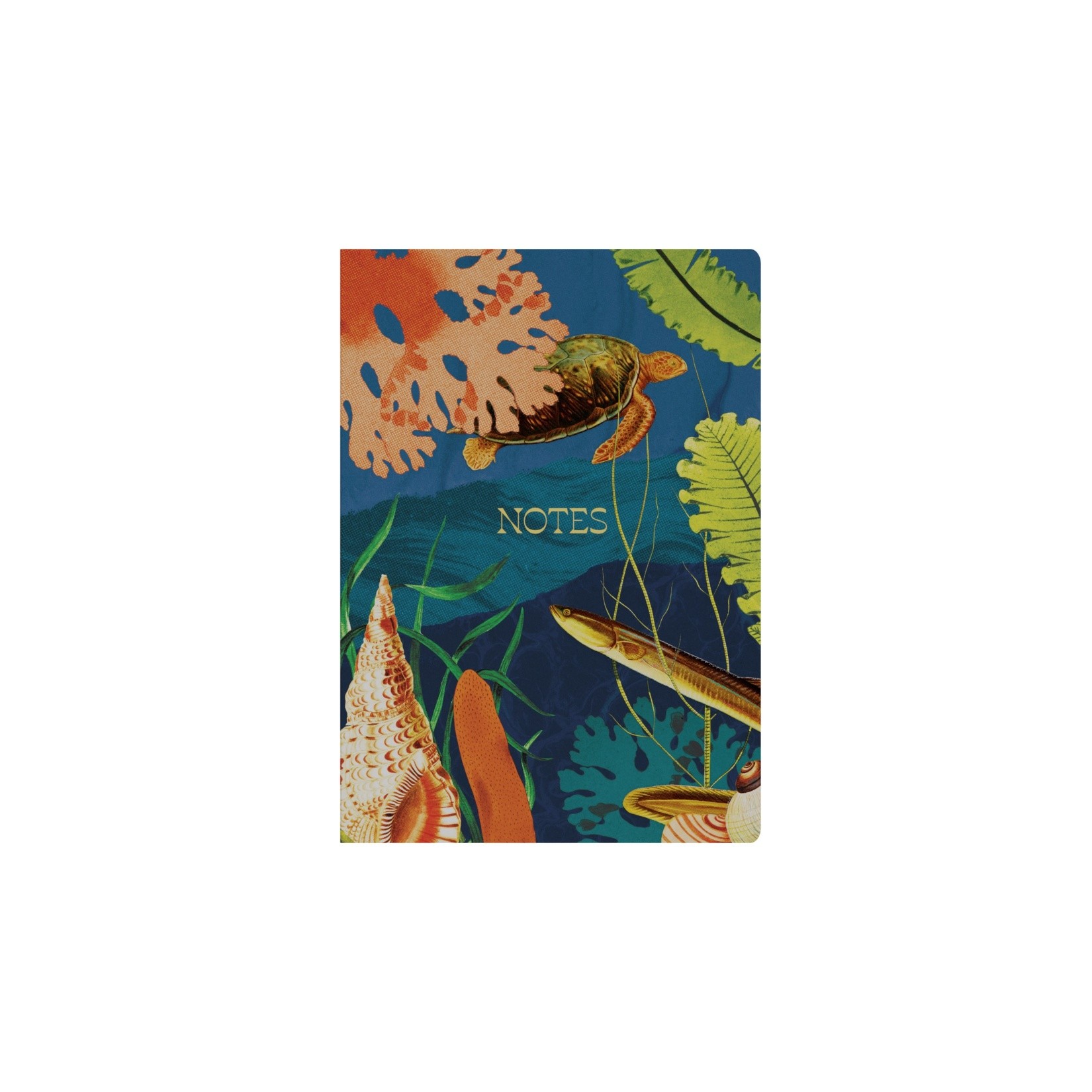 NOTEBOOK COLLINS MODERN ORGANIC A5 RCYL RULED BIRD