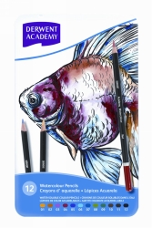 SP- PENCIL COLOURED DERWENT ACADEMY WATERCOLOUR SET PK12