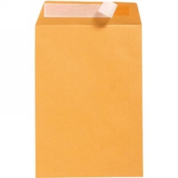 ENVELOPE C4 STRIP SEAL GOLD POCKET PACK 324X229MM RETAIL