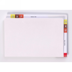 FILE LATERAL AVERY FSC TWIN TAB WHITE