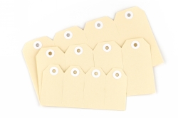 AVERY #5 SHIPPING TAG 120X60 BUFF 1000