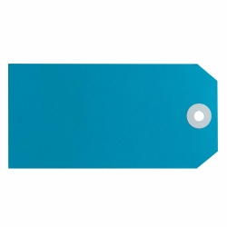 SP- SHIPPING TAGS AVERY SIZE 5 BLUE BX1000