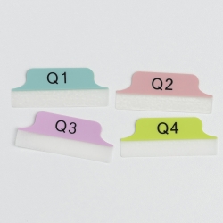 TABS 63.5X25.4MM MARGIN QUARTERS Q1-Q4 PASTEL BLUE/PINK/PURPLE/GREEN PK24