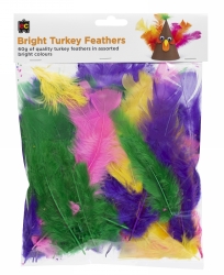 TURKEY FEATHERS EC 60GM BRIGHTS