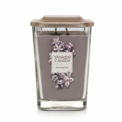 CANDLE YANKEE ELEVATION LARGE EVENING STAR