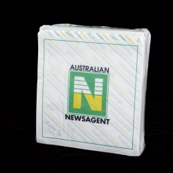 BAGS PAPER NEWSAGENT NO.4 240 X 278 PK500