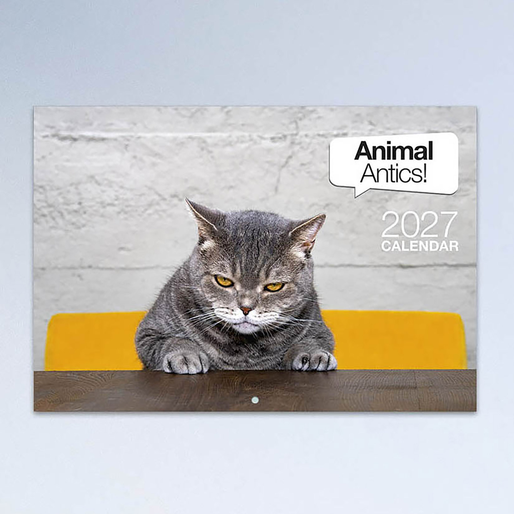 CALENDAR 2027 EASY2C A4 STITCHED ANIMAL ANTICS