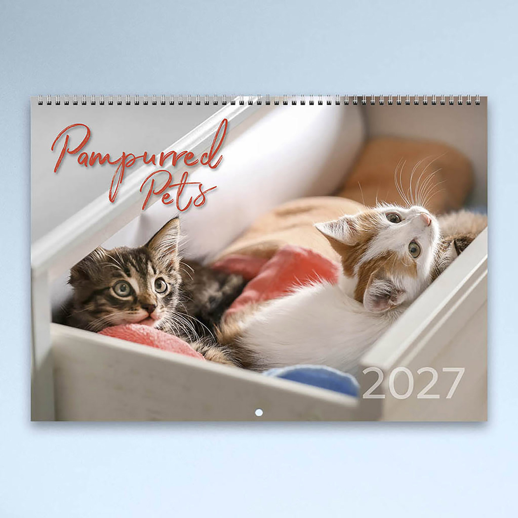CALENDAR 2027 EASY2C 337X240MM WIRO PAMPURRED PETS